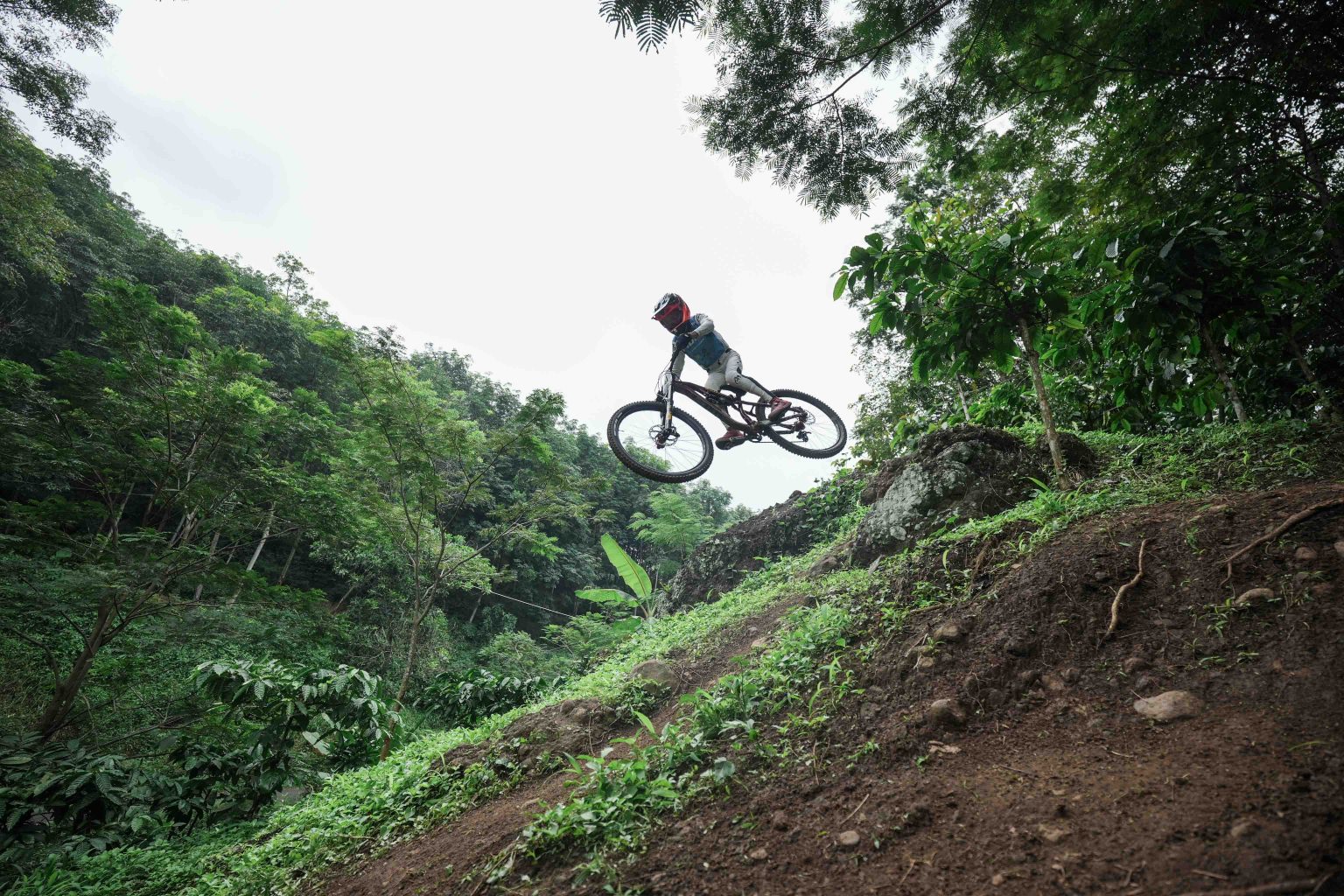 Bima Aditya,                       Young & Fearless