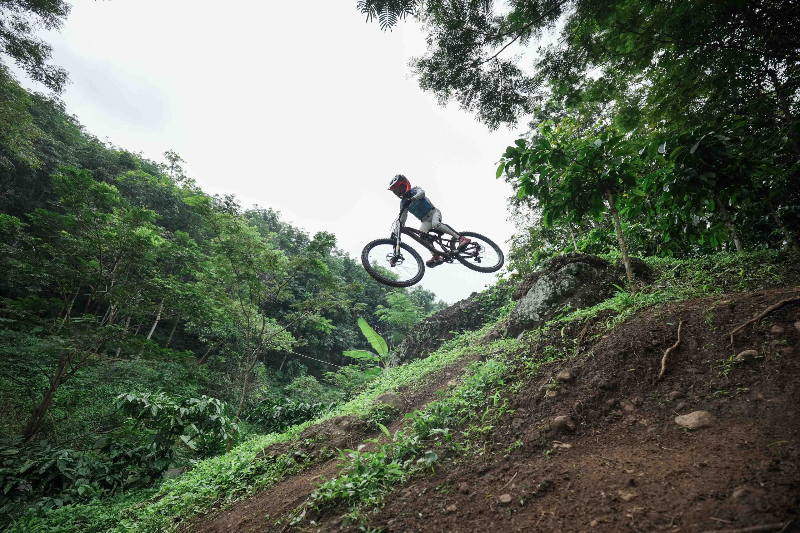 Bima Aditya,                       Young & Fearless